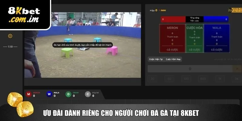 Tận hưởng ngập tràn ưu đãi cho người chơi đá gà 8Kbet